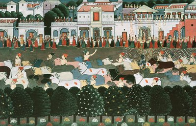 Returning to the Cowshed by Indian School